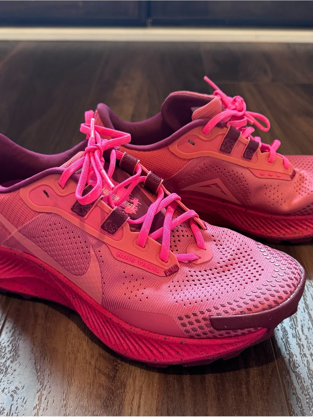 Nike Pegasus Trail 3 Gypsy Rose Pink Trail Running Shoes Women’s